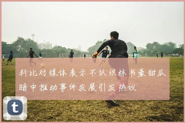 科比对媒体表示不认识林书豪甜瓜暗中推动事件发展引发热议