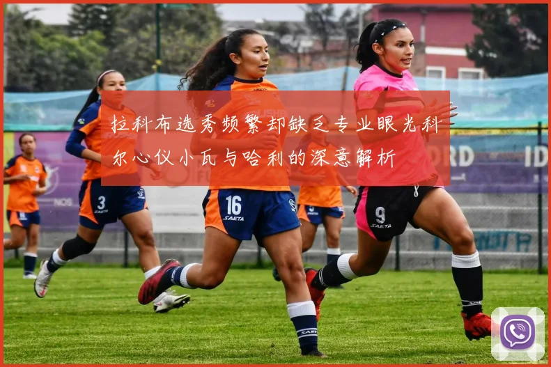 拉科布选秀频繁却缺乏专业眼光科尔心仪小瓦与哈利的深意解析