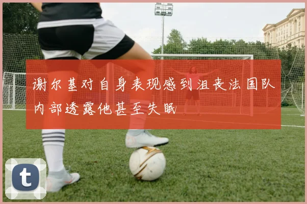 谢尔基对自身表现感到沮丧法国队内部透露他甚至失眠